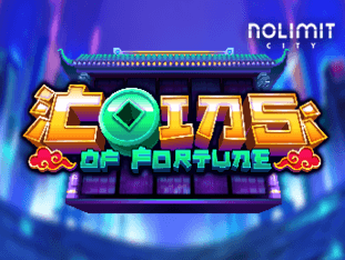 Coins Of Fortune screenshot